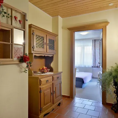 Apartamento Stefanie Mayrhofen